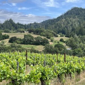 Plan A Trip To Anderson Valley